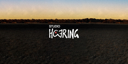 Studio Haering logo placed in the center of an editorial photo of a moody sunset scenery of a meadow.